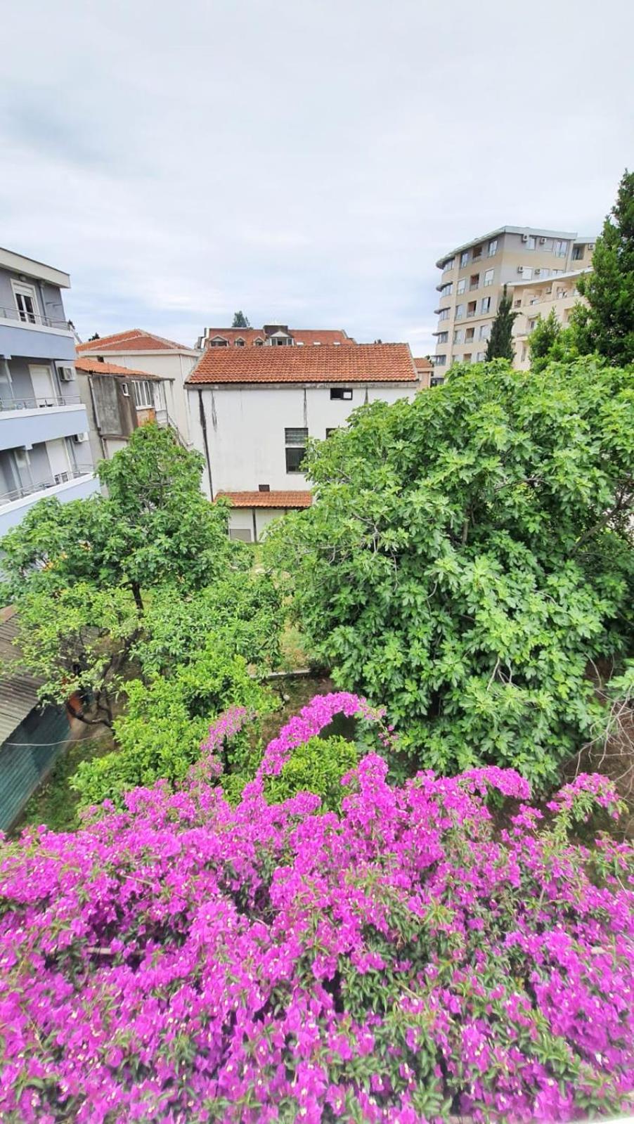 Vojinovic Apartments بودفا الغرفة الصورة