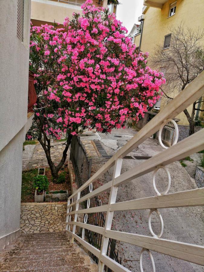 Vojinovic Apartments بودفا المظهر الخارجي الصورة