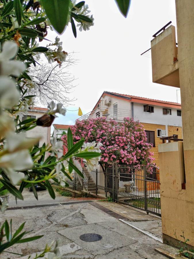 Vojinovic Apartments بودفا المظهر الخارجي الصورة